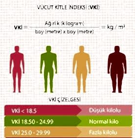 Boy ve kilona göre vücut kitle indeksini (BMI) hesapla, kilonun sağlıklı aralıkta olup olmadığını öğren. Hedef belirlemek için ilk adımı at!