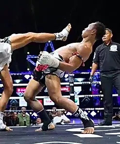 Haftada 5 güne kadar kişiye özel kombinasyon (EMS, Reformer, Fonksiyonel, Kondisyon, PT, Beslenme). 3 ayda kalıcı dönüşüm. Master Premium ile ölçülebilir sonuç. Aktif üyelere özel fiyat!