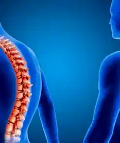 Postür analizi, mobilite–aktivasyon–kuvvet odaklı kişiye özel medikal fitness. Birebir + küçük grup hibrit sistem, 2 haftada bir ölçüm ve mikroadjust. Güvenli, sürdürülebilir, sonuç odaklı.